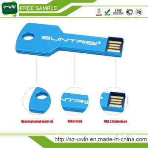 Free Samples 8GB USB Flash Drive Key Shape